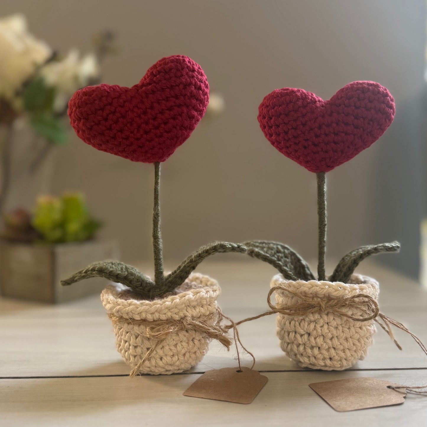 Heart Plant